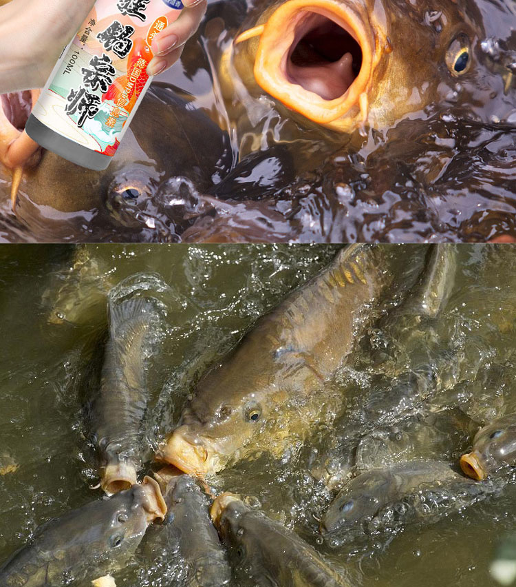 1756793324644472.jpg 10.jpg